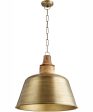 1-light Pendant Artisan s Brass For Cheap