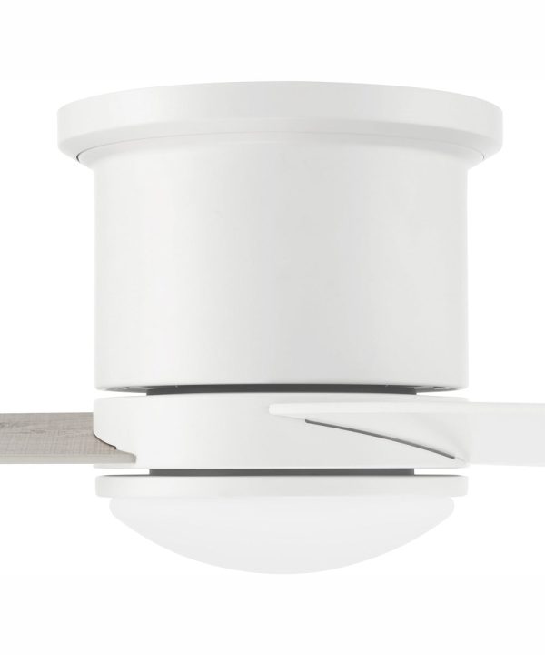 52  Cole 1-Light Indoor Outdoor Ceiling Fan White Online