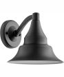 Sombra 1-light Wall Mount Light Fixture Matte Black For Discount