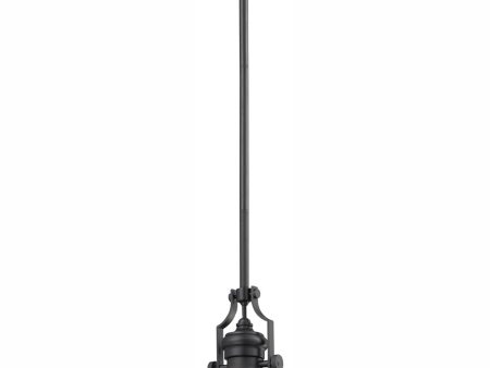 Chadwick 8   Wide 1-Light Mini Pendant - Matte Black For Sale