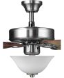 AirPro 52  5-Blade Ceiling fan with White Etched Light Kit Brushed Nickel Online now