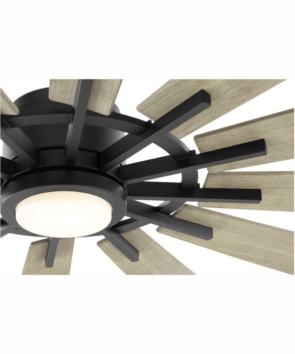 72  Cirque 1-light LED Patio Ceiling Fan Matte Black For Cheap