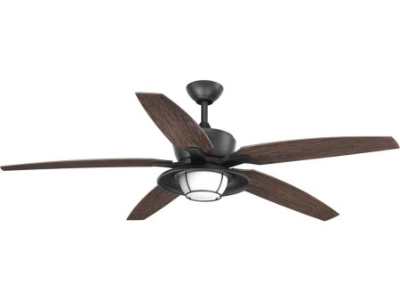 Montague 60  Indoor Outdoor 5-Blade Ceiling Fan Forged Black For Cheap