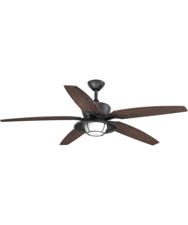 Montague 60  Indoor Outdoor 5-Blade Ceiling Fan Forged Black For Cheap