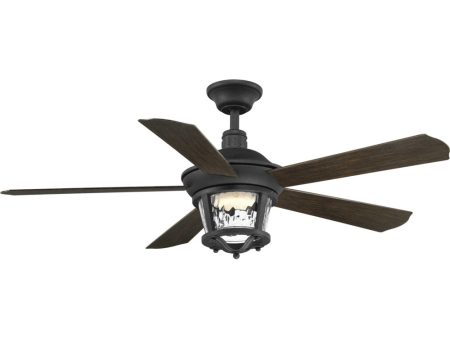 Smyrna Indoor Outdoor 52  5-Blade Ceiling Fan Forged Black Cheap