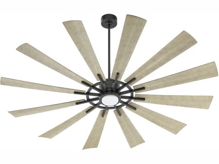 72  Cirque 1-light LED Patio Ceiling Fan Matte Black For Cheap