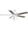 AirPro 52 in. 5-Blade Transitional Ceiling Fan with Light White Online